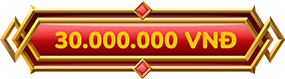 30.000.000 VNĐ
